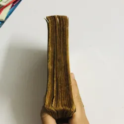 NHỮNG ĐOÁ HOA YÊU 1973 795543