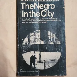 The Negro in the City (Problems of American Society) -  Gerald Leinwand