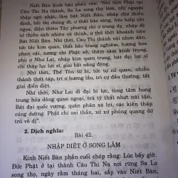 Giáo Khoa Phật Học Sơ Đẳng 958322