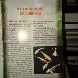 Kỹ thuật nuôi cá chép Koi - cá xiêm - cá rồng - cá dĩa - cá vàng - cá bảy màu 745842