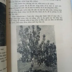 LUẬN KHẢO VỀ CÁC BỆNH THƯỜNG HẠI CÂY CỐI TẠI MIỀN NAM VIỆT NAM 688029