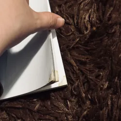 Người ăn gió và quả chuông bay đi 993319