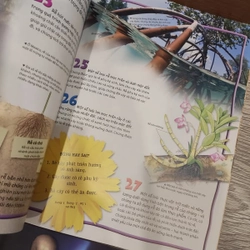 Bộ sách 100 Dữ kiện các phát minh, cơ thể người, các nhà thám hiểm, đời sống thực vật 462216
