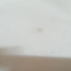 Túi đeo vai Chiikawa 976766