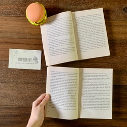 Sách ngoại văn Series Willow Falls: 11 Birthdays & Finally, Used, Lẻ cuốn 538083