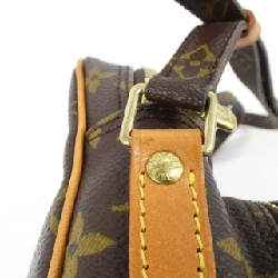 Túi đeo vai Louis Vuitton Monogram Amazon M45236 611735