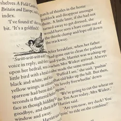 ✨𝑯𝒂𝒓𝒓𝒊𝒆𝒕'𝒔 𝑯𝒂𝒓𝒆✨ (A 1995 Parenting Magazine Reading Magic Award winner) 711706