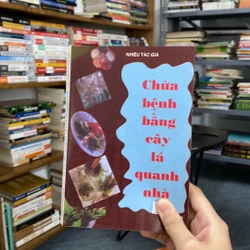 Chữa bệnh bằng cây lá quanh nhà