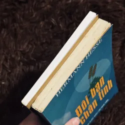 Combo đôi bạn chân tình + ảo hoá 990999