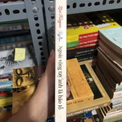 Ngoài vòng tay anh là bão tố 990579