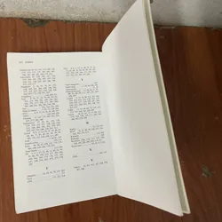 SUCCESS @ e-BUSINESS- PETER MORATH 734945