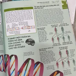 COMBO 4 CUỐN HIỂU HẾT VỀ - DK 750498