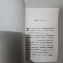 Sách The storm keeper's island 785928