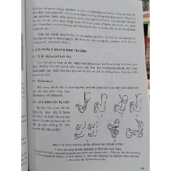 Chẩn đoán hình ảnh (dùng cho đào tạo bác sĩ đa khoa) - Bộ Y tế