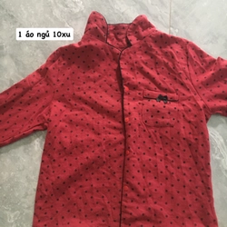 Những chiếc áo giá hạt giẻ 494588