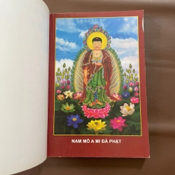 II Kinh Nghiệm Niệm Phật Và Những Chuyện Luân Hồi - Cư Sĩ: Diệu Âm Diệu Ngộ - 2012 495743