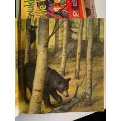 Shh! Bears Sleeping – David Martin 561133