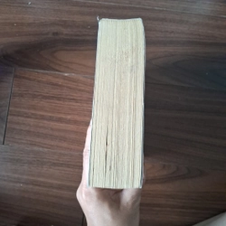 Gió mag kí ức thổi thành những cánh hoa 510009