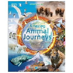 Amazing Animal Journeys - Những Chuyến Di Cư Và Hành Trình Phi Thường Nhất! (Bìa Cứng) - DK, Philippa Forrester, Tim Smart