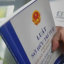 Luật Sở Hữu Trí Tuệ Và Nghị Định Hướng Dẫn Về Quyền Tác Giả, Quyền Liên Quan 727366