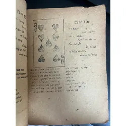 Bói bài - Huỳnh Liên Tử