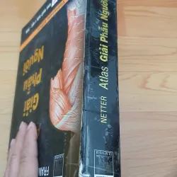 ATLAS GIẢI PHẪU NGƯỜI  761036