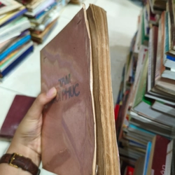 Tám mối phúc 🌱 463393