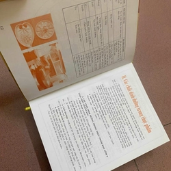 Kỹ Thuật Nấu Ăn Toàn Tập - Triệu Thị Chơi, Mới 80% (Hoi) 337744