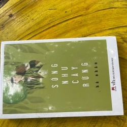 CONBO HÀ NHÂN: NGÀY TRONG SƯƠNG MÙ, BAY XUYÊN NHỮNG TẦNG MÂY, SỐNG NHƯ CÂY RỪNG 477063