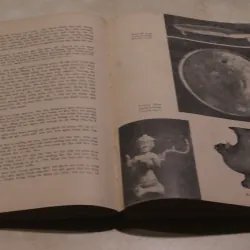 Lịch sử Việt Nam tập 1 994258