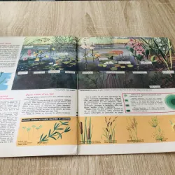 TẠP CHÍ TOUT L’UNIVERS – 1964 (4) 1017367