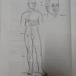 CHÂM CỨU HỌC Trung QUỐC  674270