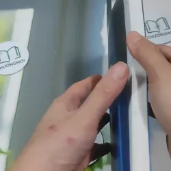 Hành Trình Của Quyền Con Người: Những Quan Điểm Kinh Điểm Và Hiện Đại - PGS. TS. Mai Hồng 727349