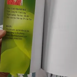 Trầu Không Xanh Lá - Cao Thanh Mai 798319