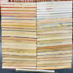 Nhóc Miko tổng 49 tập (Không có tập 34) 739141