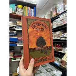 Cây cam ngọt của tôi - José Mauro de Vasconcelos 124713