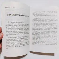 Hoa Violet Ngày Thứ Tư  795955