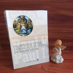 Humanae Vitae Evangelium Vitae Donum Vitae-Thông điệp Đời Sống Con Người, Tin Mừng Sự Sống 159867