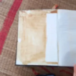 Thực trạng châu âu 957173