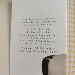 NGỦ THẬT LÂU - YÊU THẬT SÂU _ Những lời khuyên thông thái từ loài mèo _ 713491