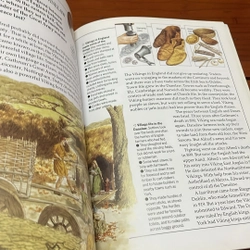 PICTURE BOOK The Saxons & Vikings 536307