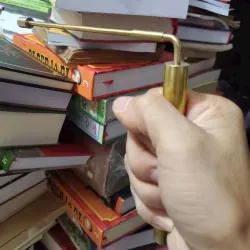 Gậy tầm long  747156