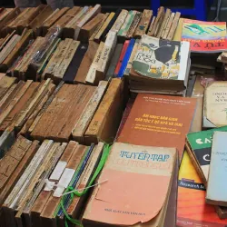 Sách giấy bao cấp Decor (15kg) 1003932