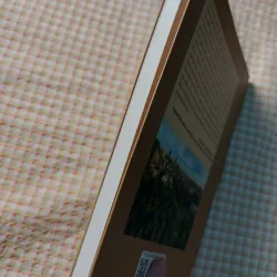 VĂN HÓA GIAO TIẾP TRONG CÔNG SỞ HÀNH CHÍNH TRƯỜNG HỢP THÀNH PHỐ HỒ CHÍ MINH - ĐỘ MỚI CAO 732274