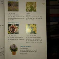 Phương pháp trồng 100 loài hoa trong chậu - Lưu Chí Tùng 785795