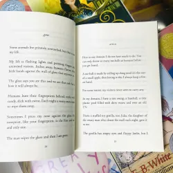 Newbery -Tiểu thuyết thiếu nhi kinh điển – Đạt giải Newbery danh giá - Trọn bộ 9 quyển 746140