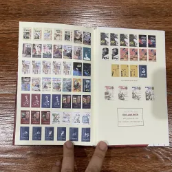 Mèo mặt nhọ 2 (12) 1024242