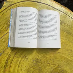 SWITCH- INGRID LAW 596105