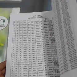 Hoàng Lịch Thông Thư 2023 - 2033 727380