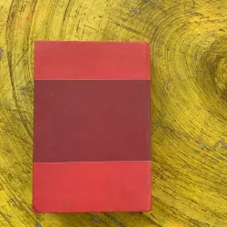 TỪ ĐIỂN Ý - VIỆT - CARLO ARDUINI & NGUYỄN VĂN HOÀN 797295